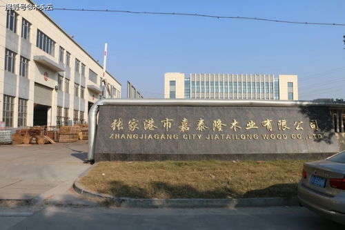 木头人集团 实体产业与公关服务的双轮驱动战略